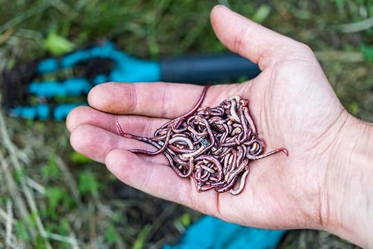Invasive Worm