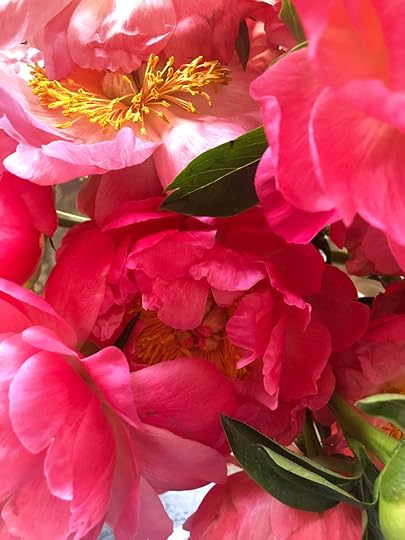 Let It Be Sunday, 374!