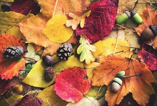 This is a great way to make use all of those gorgeous fall leaves laying around. Let's get sustainable!