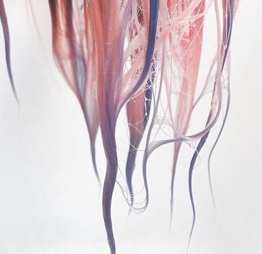 pink, hair, and pastel image