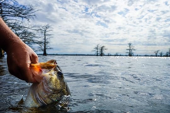 Fishing on Lake Sam Rayburn Texas outdoors destination