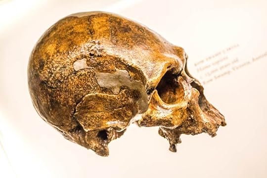 Il cranio di un Neanderthal