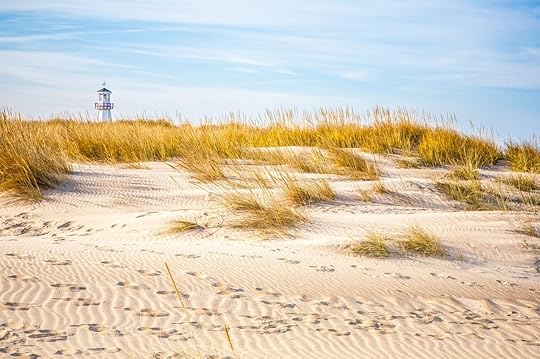 Sand dunes at New Buffalo 