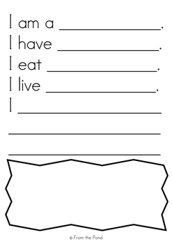 basic kindergarten writing worksheets activity pack by from the pond