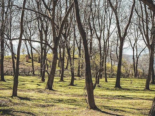 Kyrgyzstan world's largest walnut forest