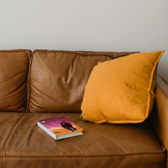 A copy of The Fossil Door with its burgundy and orange cover lies on a brown leather sofa with a matching orange pillow.