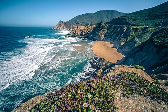 aerial beach view