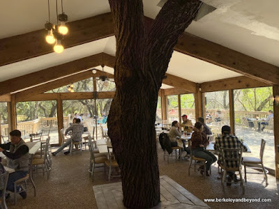 dining room at Nico 210 in San Antonio, Texas