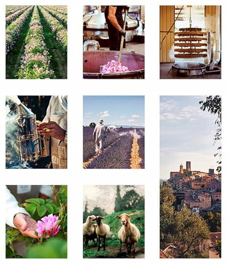 Cultivation and transformation of Centifolia rose, which is used in the composition of many Chanel perfumes. Distillation and cultivation of lavender for Louis Vuitton. The Domaine de la Rose ecological horticultural site, owned by Lancome, is located below the village of Grasse.