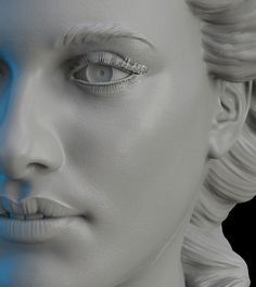 female-anatomy-face-sculpting