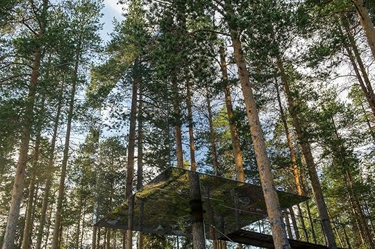 treehouse