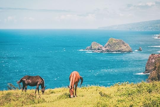 are there wild horses in the us where to see hawaii