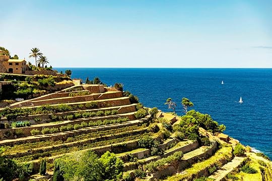 Terrace plants near the village of Banyalbufar, in the Serra de Tramuntana.