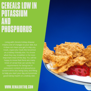 Low Sodium and Potassium Substitutions For Your Holiday Favorites 10