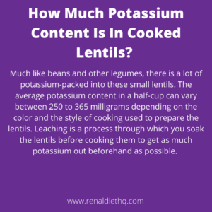 Copy of Low Potassium Substitutes For Your Holiday Favorites 17