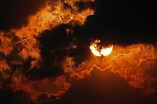 sun 44