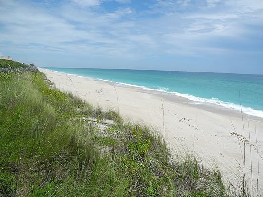 Barrier Island Sanctuary Florida