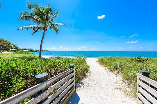 Sombrero Beach with palm trees on the Florida Keys, Marathon, Florida, USA. Tropical and paradise destination for vacation.
