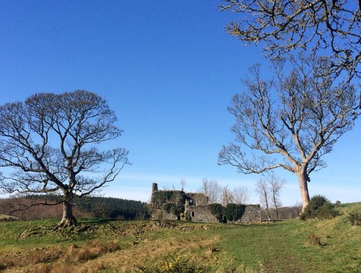 Gight Castle through the trees