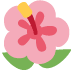 🌺
