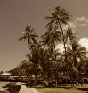The Timeless Beauty of the Kona Waterfront