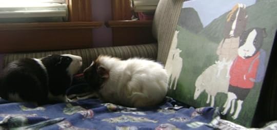 Rachel E Smith guinea pigs and painting