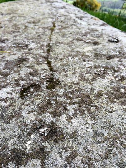cupmarks