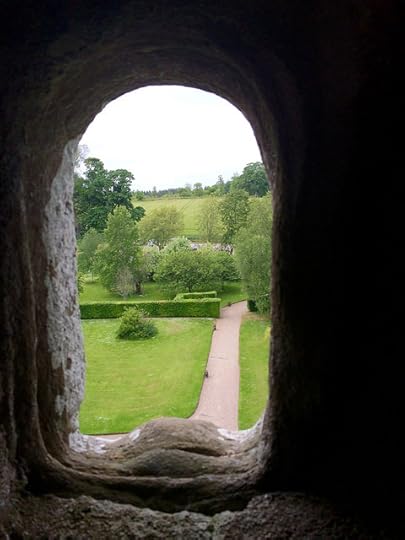 window in Drum Castle roof, one castle