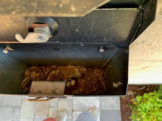 The birdhouse in our post.
