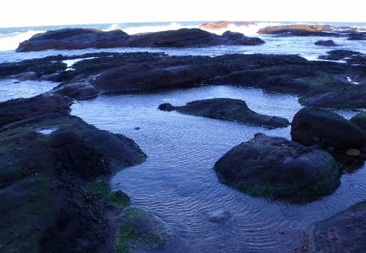 rock pools at New Aberdour beach