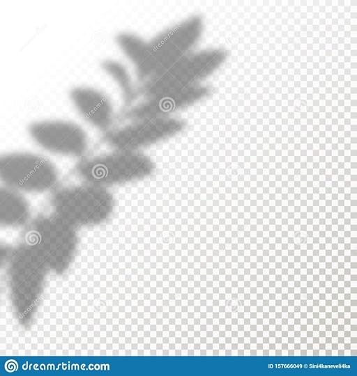 shadow overlay leaves vector mockup transparent shadows overlay
