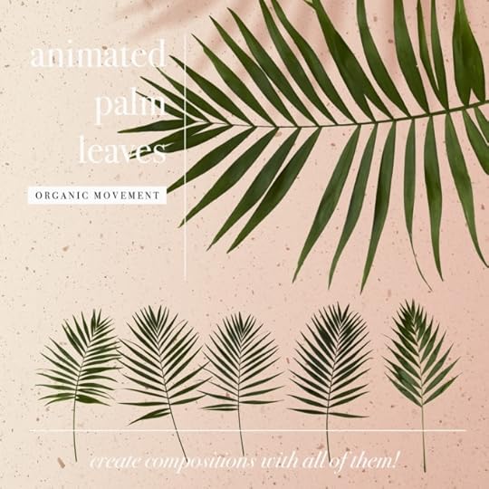 06 organic shadow overlay mockup palm leaves animation anayvy