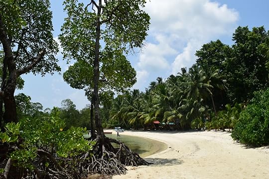 havelock island nemo reef