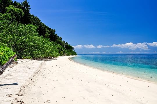 Elephant beach india