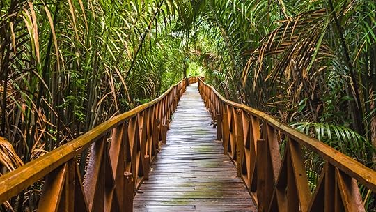 Havelock island other nearby islands mangrove trail