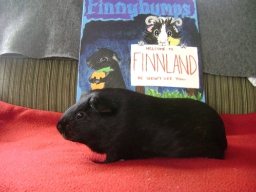 Rachel E Smith guinea pig painting and guinea pig Salem