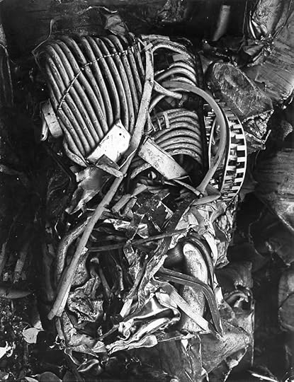 Emila Medková, Arcimboldo, 1978