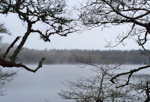 misty Aberdeenshire loch 