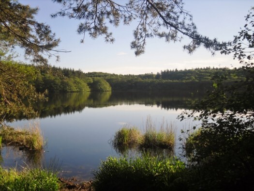 summer Aberdeenshire loch