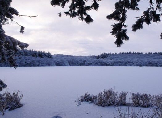 snowy Aberdeenshire loch 