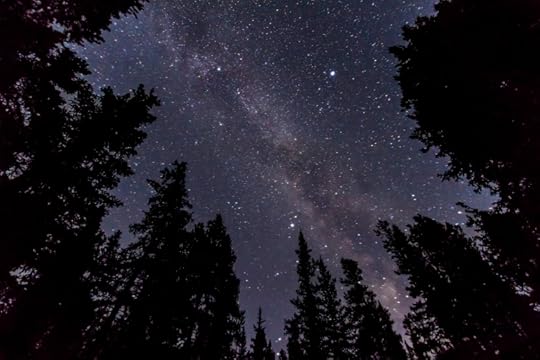 Summer Triangle Thru Trees