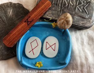 Porcelain Elder Futhark runes Dagaz and Othala in a blue dish of water with a floating buttercup, with Mannaz reversed carved into cedar, a fossilized echinoid, pyrite sun, and tin embossed with FUTHARK.