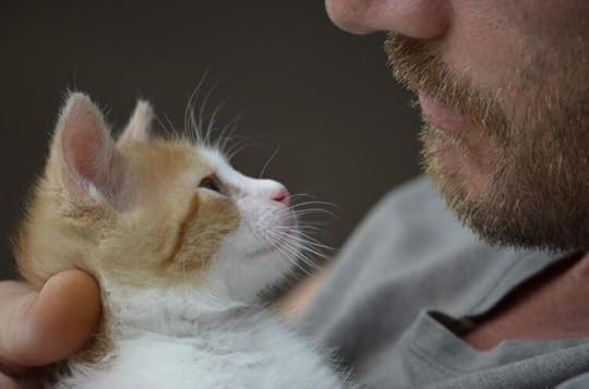 fathers-day-cat