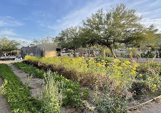 gaspareno-rancho-cacachilas