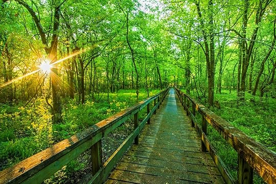 Sunrise On A Hiking Tail Natchez Trace Parkway, Tupelo, Mississippi. The Natchez Trace, also known as the 