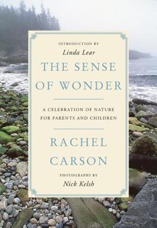The sense of wonder by rachel carson