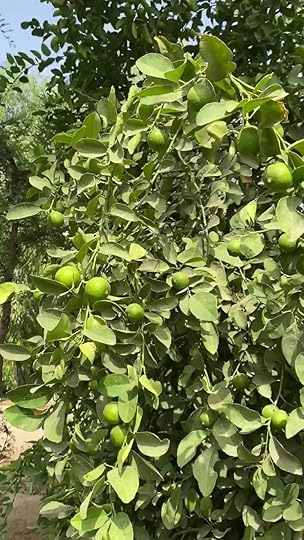 rnl-J7-RLo4-OFWP23-K-jpg-large