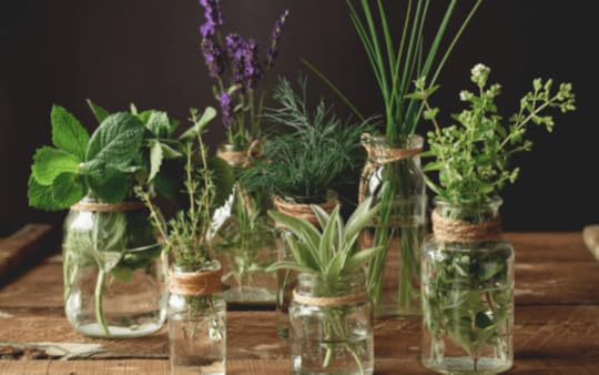 Herbs in glass jars on a wood table.