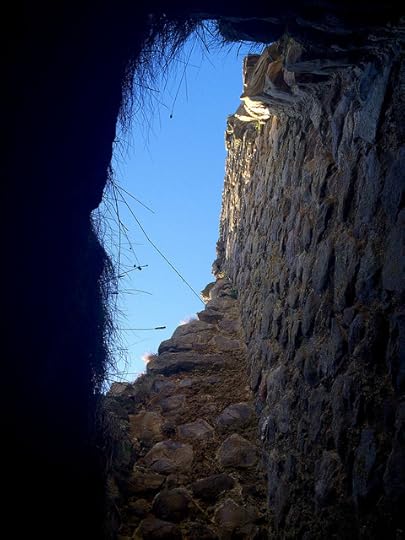 the kitchen chimney of Pitsligo Castle