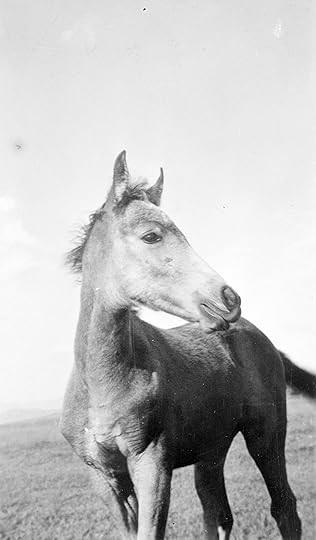 Lora Webb Nichols, <em>Name unknown</em>, 1938″> </div> <div class=